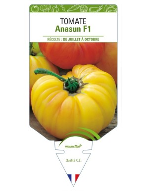 Tomate Anasun F1