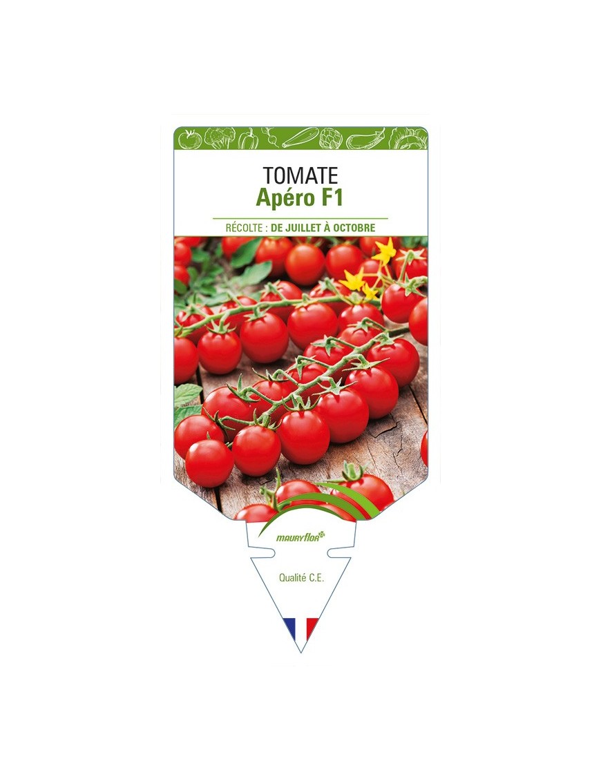 Tomate Apéro F1
