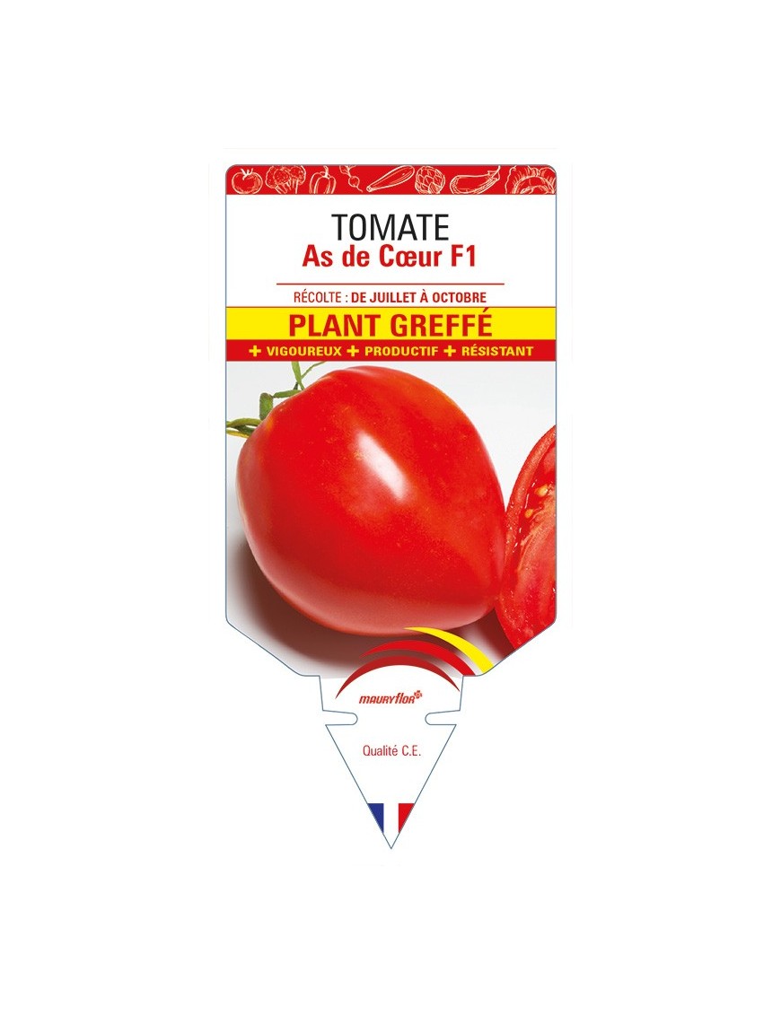 Tomate As de Cœur F1 Plant greffé