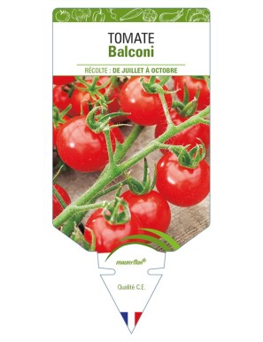 Tomate Balconi