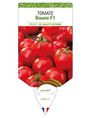 Tomate Bauna F1