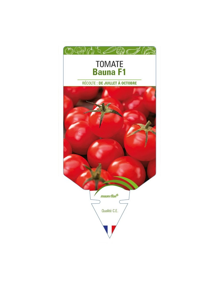 Tomate Bauna F1