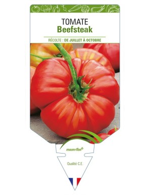 Tomate Beefsteak