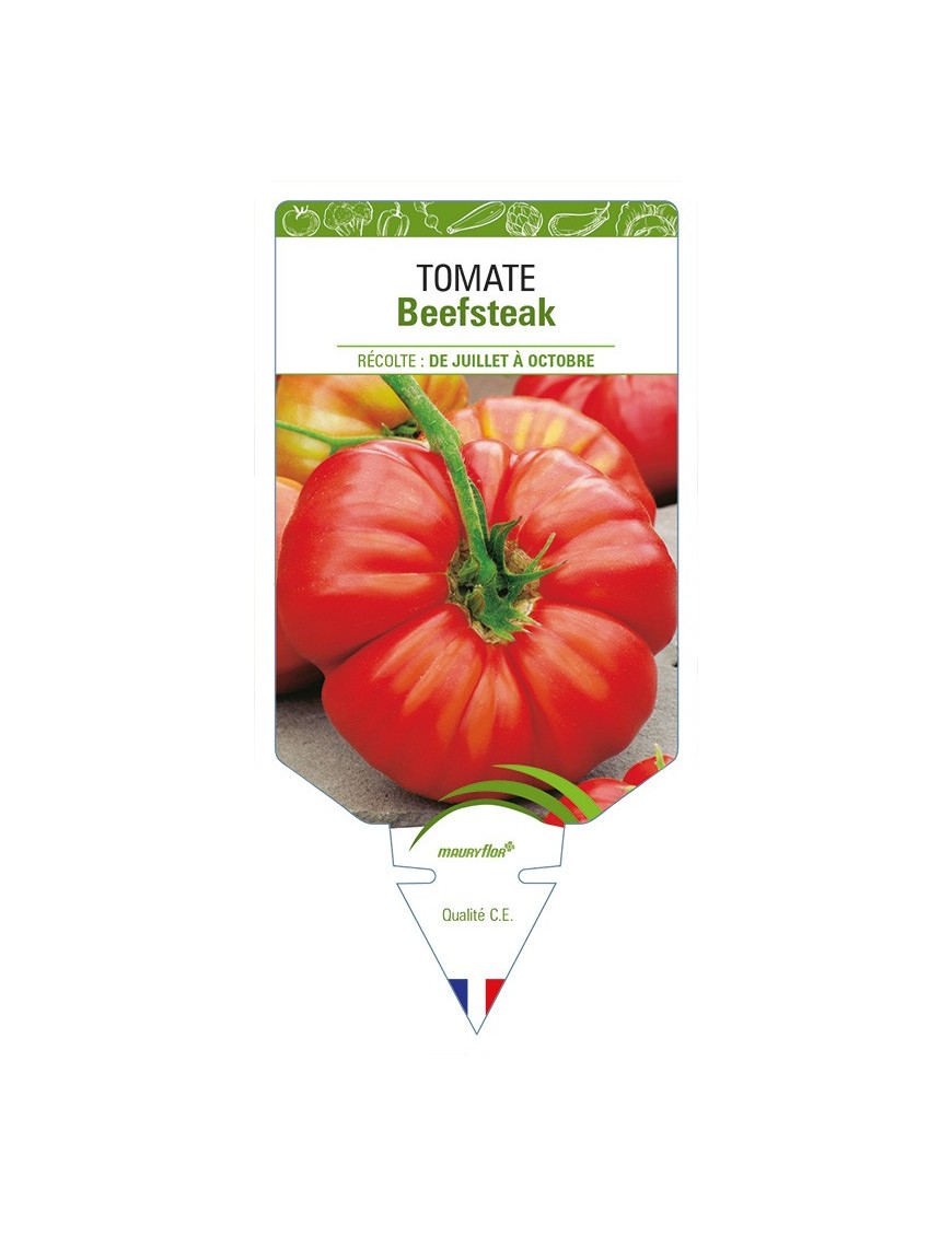 Tomate Beefsteak
