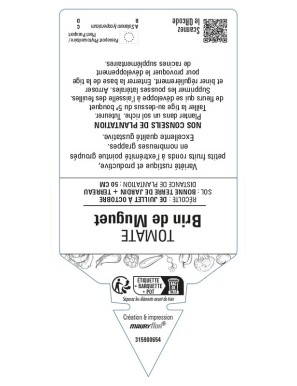 Tomate Brin de Muguet