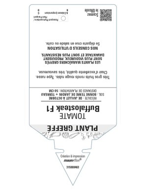 Tomate Buffalosteak F1 Plant greffé