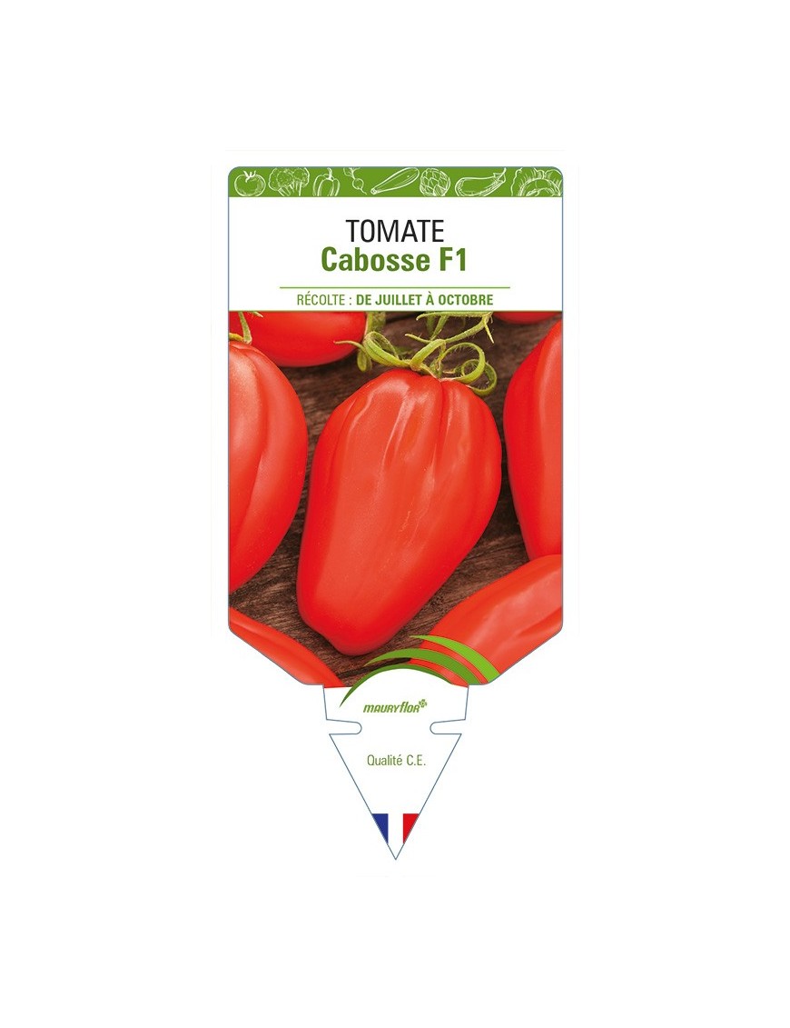 Tomate Cabosse F1