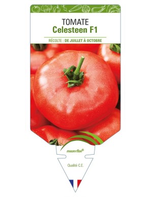 Tomate Celesteen F1
