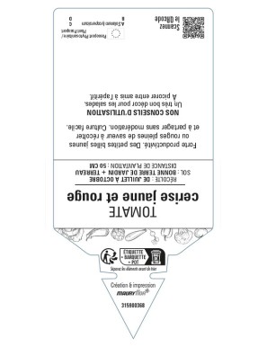 Tomate cerise jaune et rouge