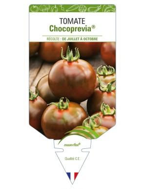 Tomate Chocoprevia®