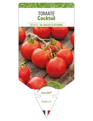 Tomate Cocktail