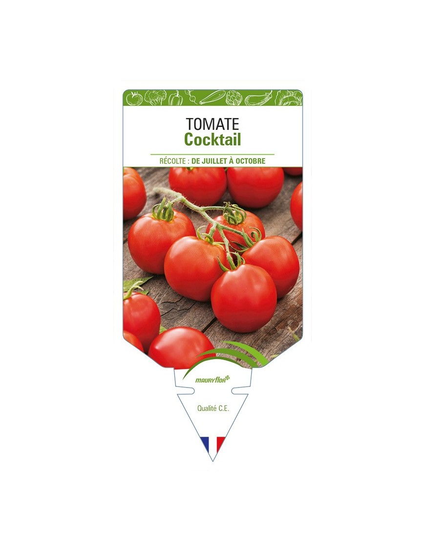 Tomate Cocktail