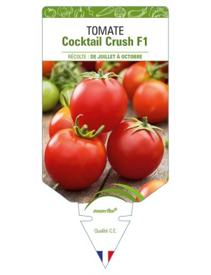 Tomate Cocktail Crush F1