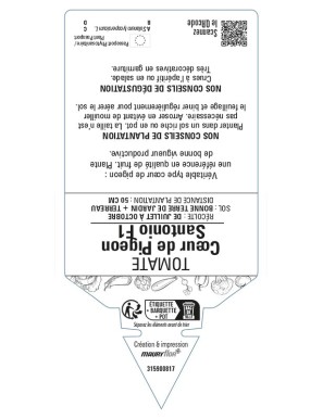 Tomate Coeur de Pigeon Santonio F1