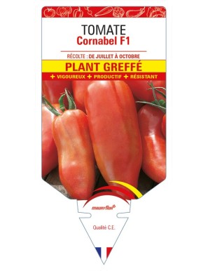 Tomate Cornabel F1 Plant greffé