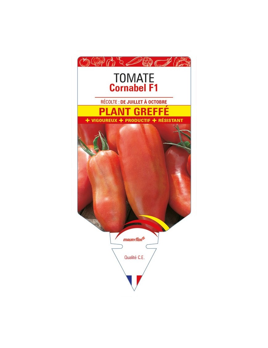 Tomate Cornabel F1 Plant greffé