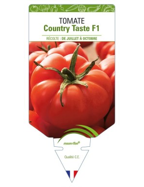 Tomate Country Taste F1