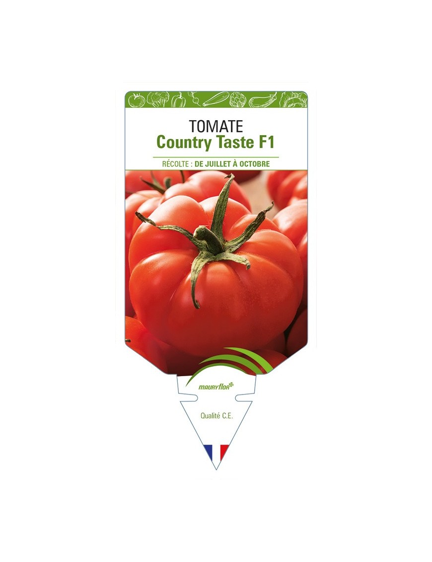 Tomate Country Taste F1