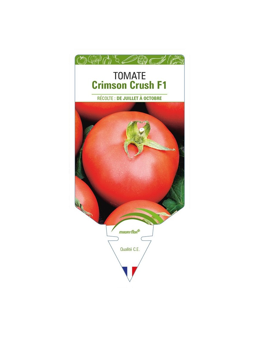 Tomate Crimson Crush F1