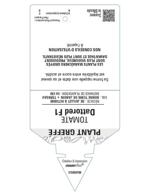 Tomate Dattored F1 Plant greffé