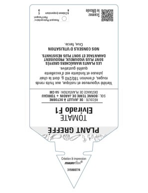 Tomate Elvirado F1 Plant greffé