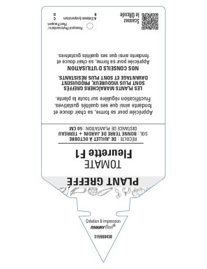 Tomate Fleurette F1 Plant greffé