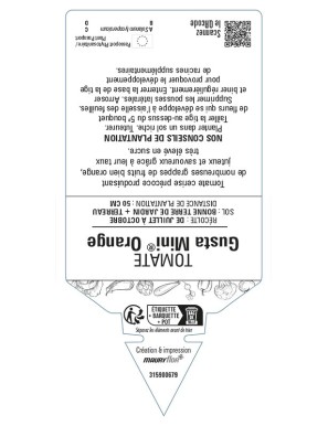 Tomate Gusta Mini Orange