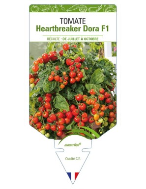 Tomate Heartbreaker Dora F1