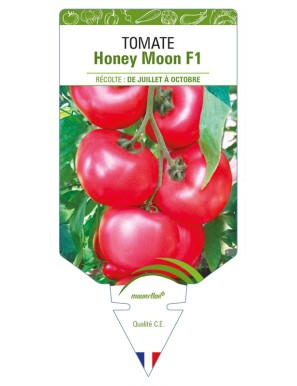 Tomate Honey Moon F1