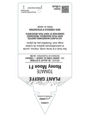 Tomate Honey Moon F1 Plant greffé