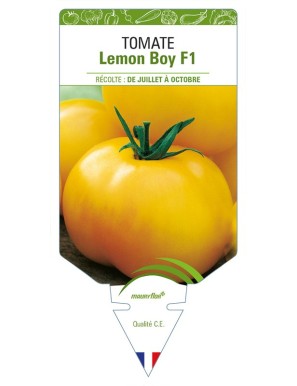 Tomate Lemon Boy F1