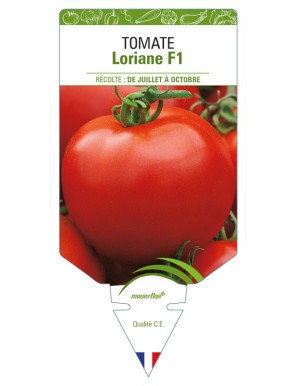 Tomate Loriane F1