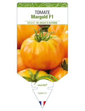 Tomate Margold F1