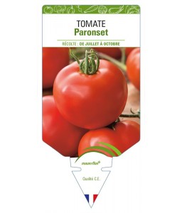 Tomate Paronset