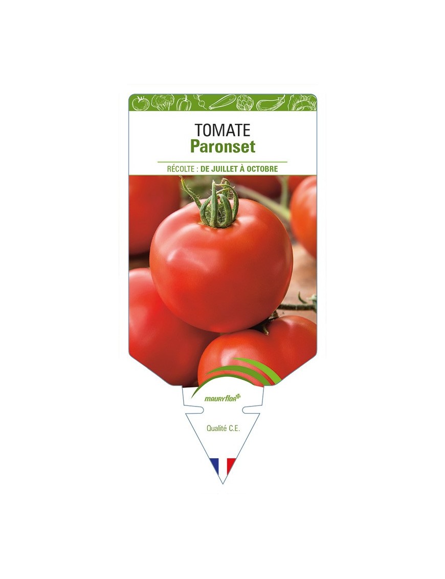 Tomate Paronset