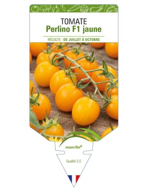 Tomate Perlino F1 jaune
