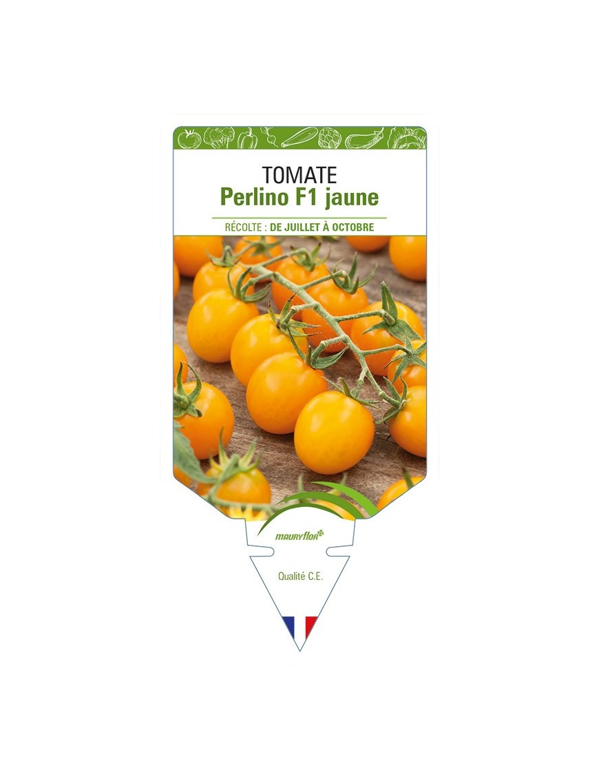 Tomate Perlino F1 jaune