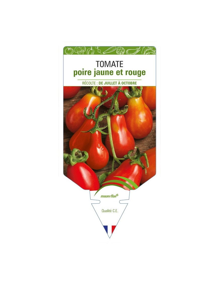 Tomate poire jaune et rouge