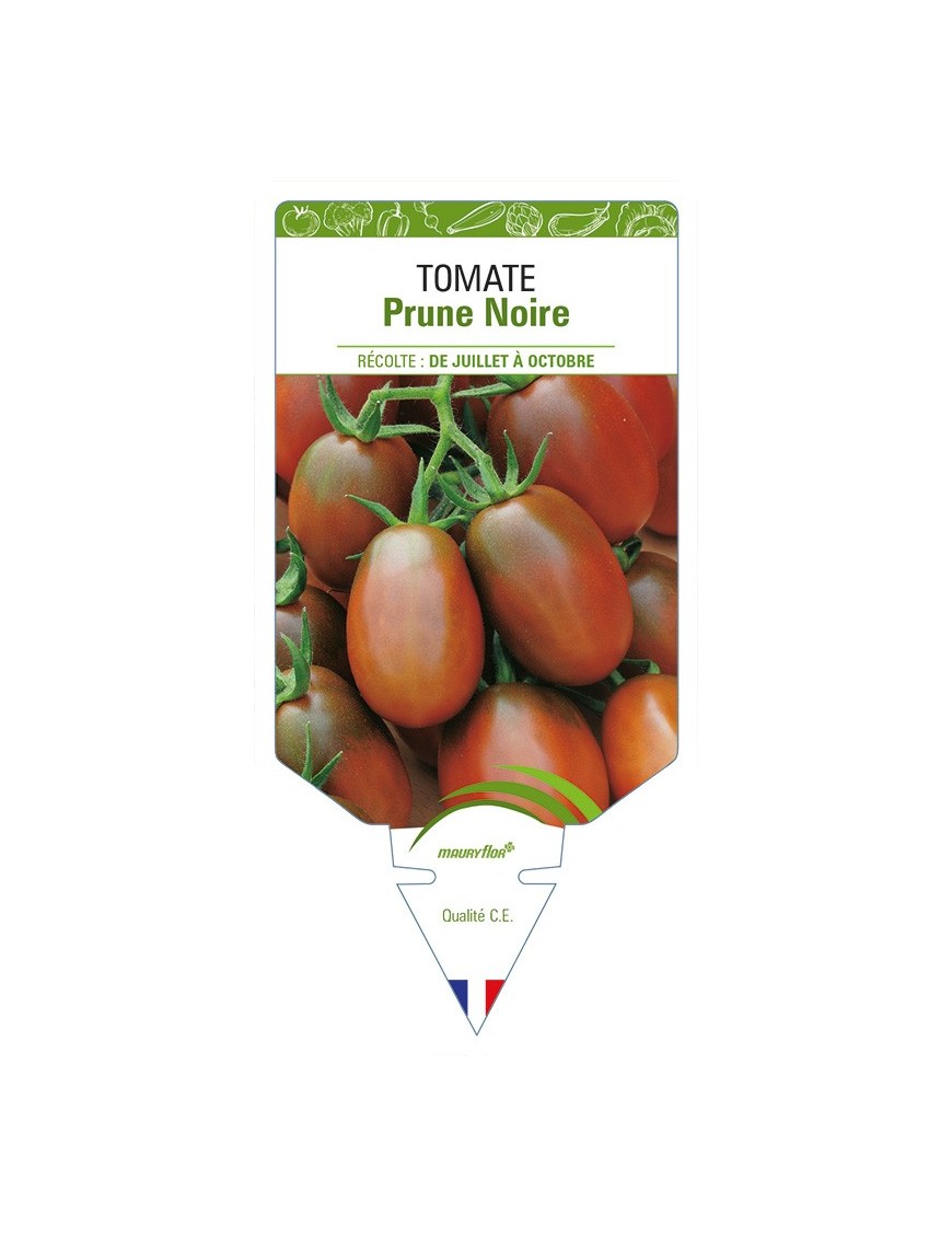 Tomate Prune Noire