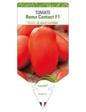 Tomate Roma Contact F1