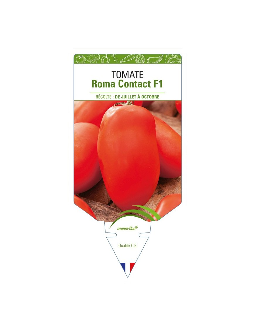 Tomate Roma Contact F1