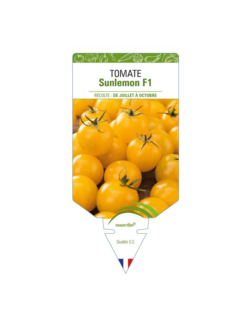 Tomate Sunlemon F1