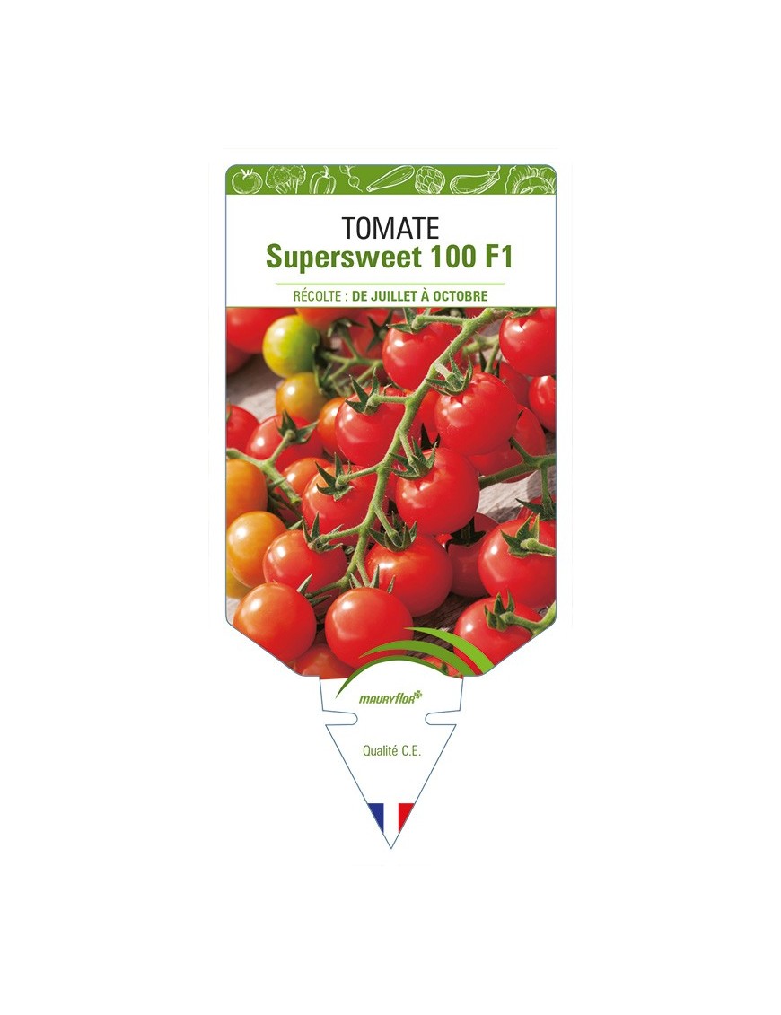 Tomate Supersweet 100 F1