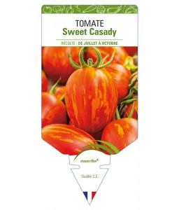 Tomate Sweet Casady