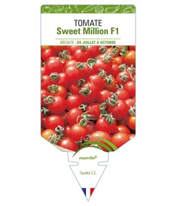 Tomate Sweet Million F1