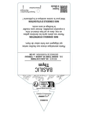 BASILIC Thym