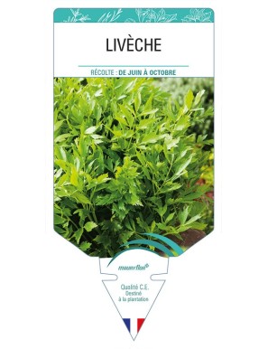 LIVÈCHE