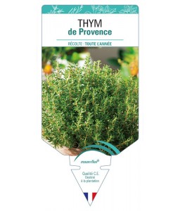 THYM de Provence