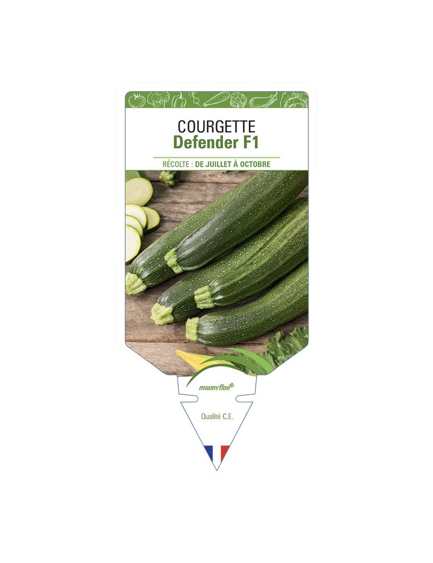 Courgette Defender F1