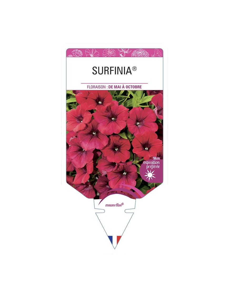 SURFINIA® (rouge)